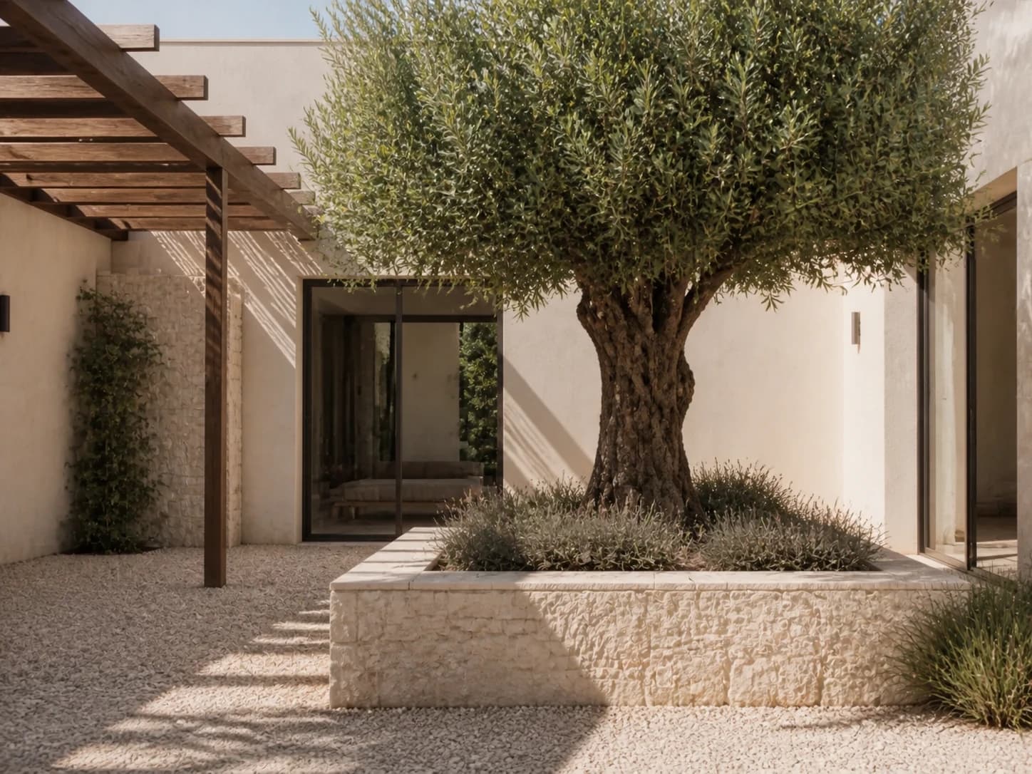 A quiet limestone courtyard at AERA HOUSE, centred on a mature olive tree